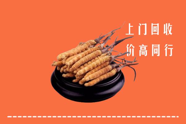 高价求购：连南县回收散虫草